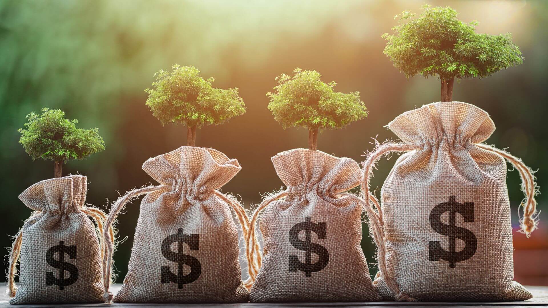 "financial planning financial advice financial roadmaps long-term financial planning personalized financial planning"